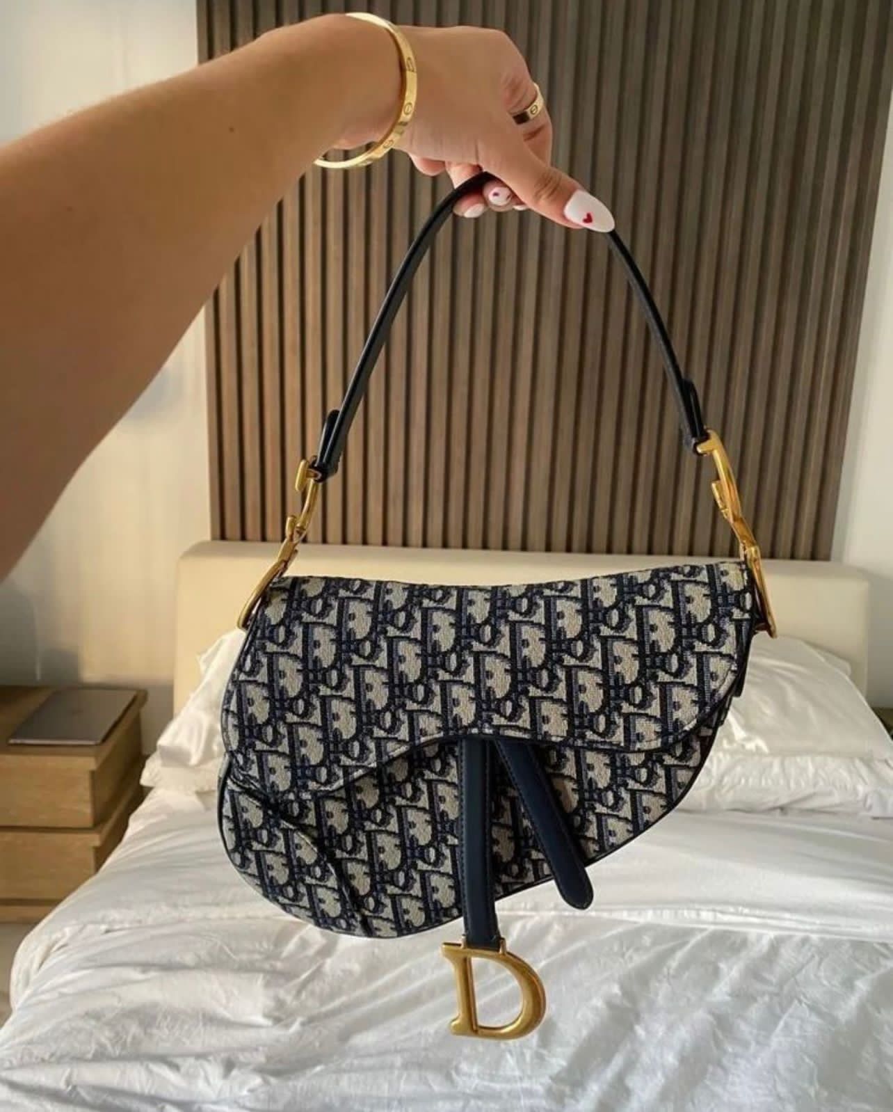 Dior Saddle Bags