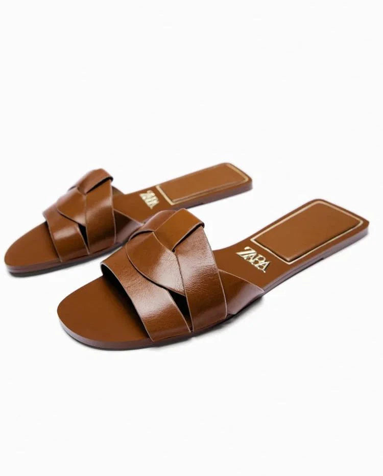 ZR Basic